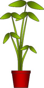 観葉植物のイラスト画像