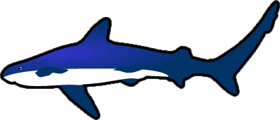 サメのイラスト画像