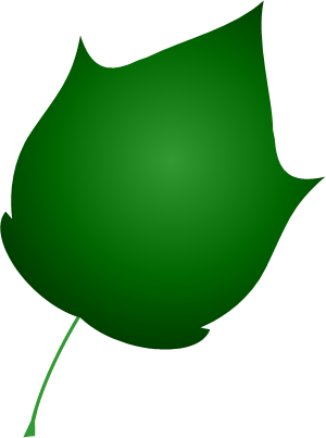 ウリハダカエデの葉っぱのイラスト画像