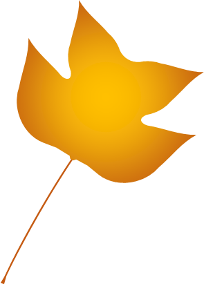 ユリノキの葉っぱのイラスト画像