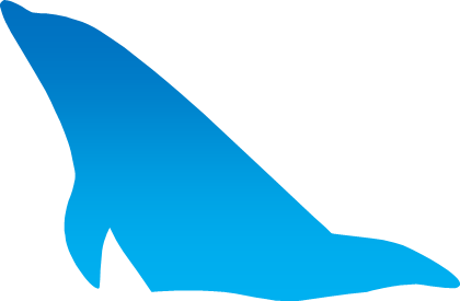水面から顔を出すイルカのシルエット画像