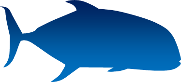 海水魚のシルエット画像