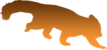 レッサーパンダのシルエット画像