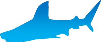 サメのシルエット画像