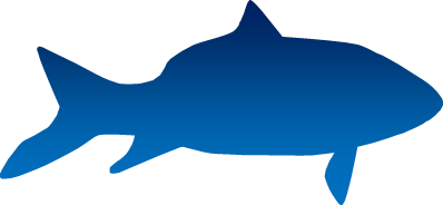 淡水魚のシルエット画像