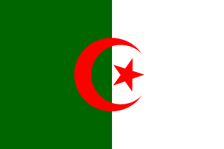 アルジェリアの国旗のイラスト画像2