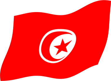 チュニジアの国旗のイラスト画像3