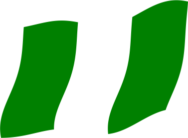 ナイジェリアの国旗のイラスト画像3