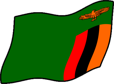 ザンビアの国旗のイラスト画像4