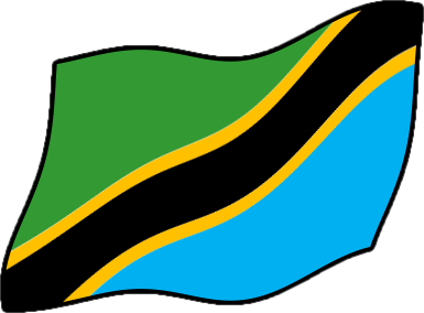 タンザニアの国旗のイラスト画像4