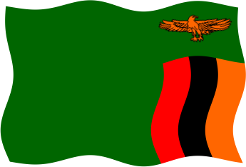 ザンビアの国旗のイラスト画像5