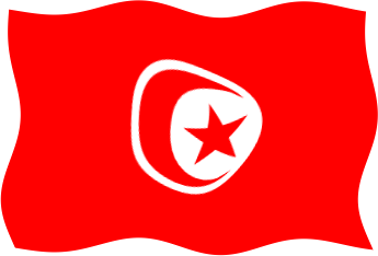 チュニジアの国旗のイラスト画像5