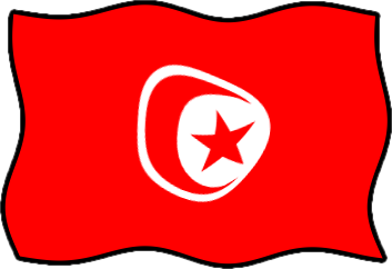チュニジアの国旗のイラスト画像6