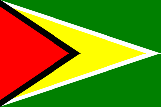 ガイアナの国旗のイラスト画像2