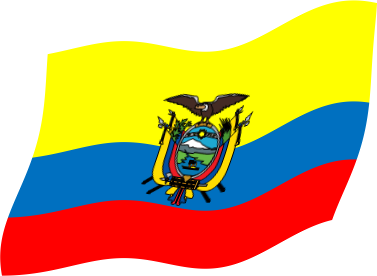 エクアドルの国旗のイラスト画像3