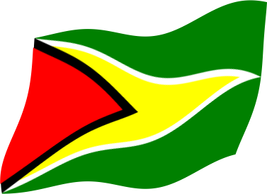 ガイアナの国旗のイラスト画像3