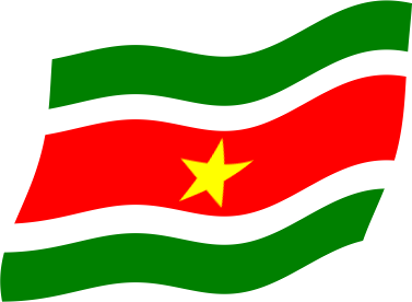 スリナムの国旗のイラスト フリー 無料で使えるイラストカット Com