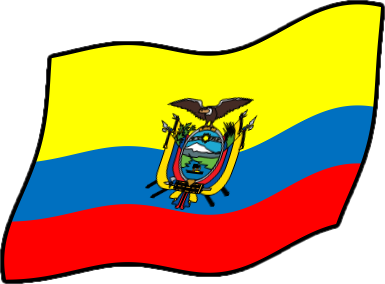 エクアドルの国旗のイラスト画像4