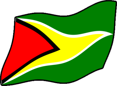 ガイアナの国旗のイラスト画像4