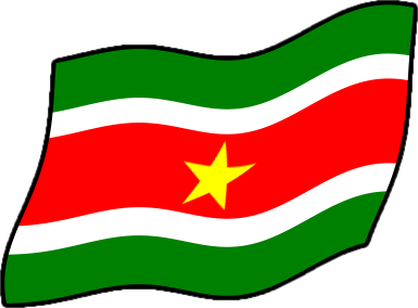 スリナムの国旗のイラスト画像4