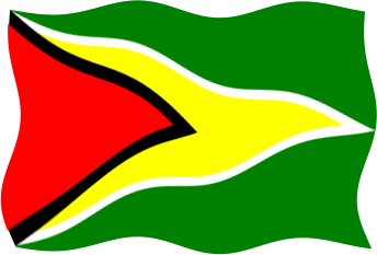 ガイアナの国旗のイラスト画像5