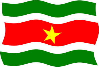 スリナムの国旗のイラスト画像5