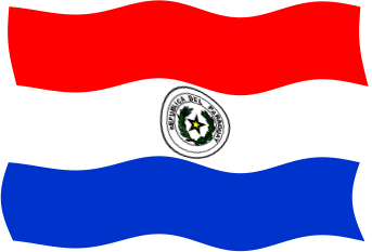 パラグアイの国旗のイラスト画像5
