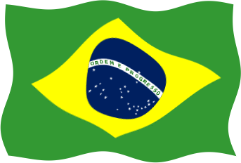 ブラジルの国旗のイラスト画像5