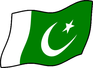 パキスタンの国旗のイラスト画像4