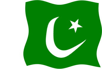 パキスタンの国旗のイラスト画像5