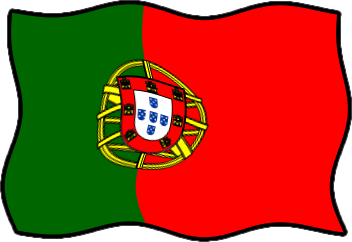 ポルトガルの国旗のイラスト画像6