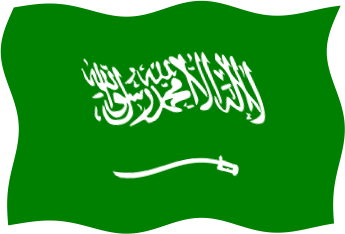 サウジアラビアの国旗のイラスト画像5