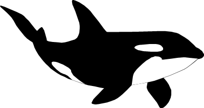 シャチのイラスト画像