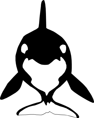 シャチのイラスト画像
