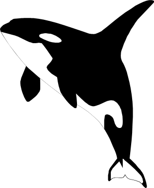 シャチのイラスト画像