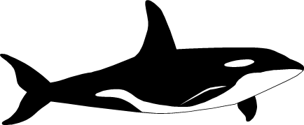 シャチのイラスト画像