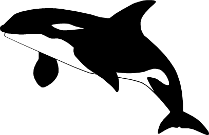 シャチのイラスト画像