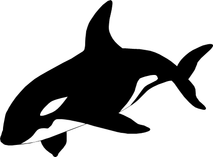 シャチのイラスト画像