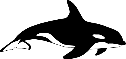 シャチのイラスト画像