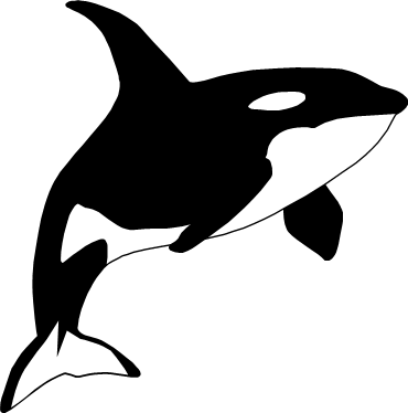 シャチのイラスト画像