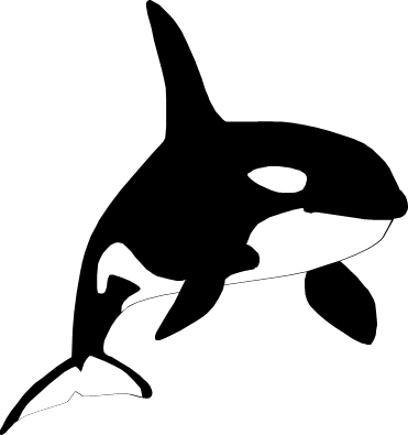 シャチのイラスト画像