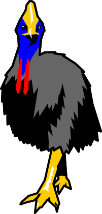 ヒクイドリのイラスト画像