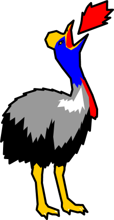 ヒクイドリのイラスト画像