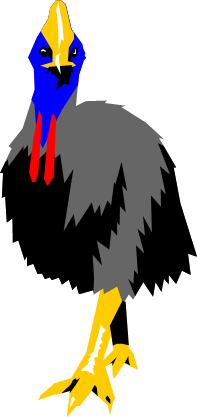 ヒクイドリのイラスト画像