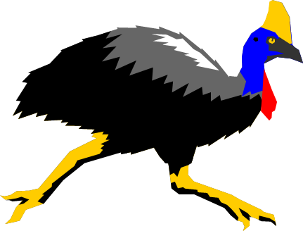 ヒクイドリのイラスト画像