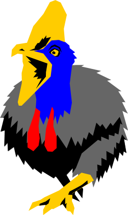 ヒクイドリのイラスト画像