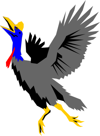 ヒクイドリのイラスト画像