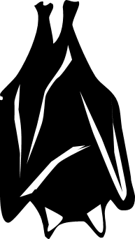 コウモリのシルエット画像